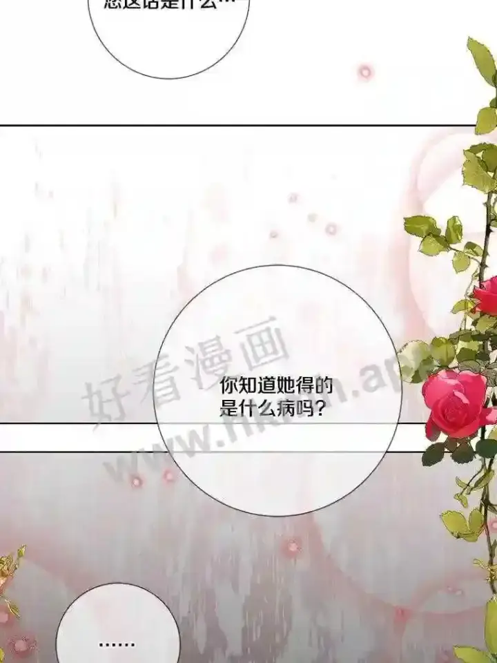 漫画《龙套大公子妃的花路人生》15.驯龙师?第15张图