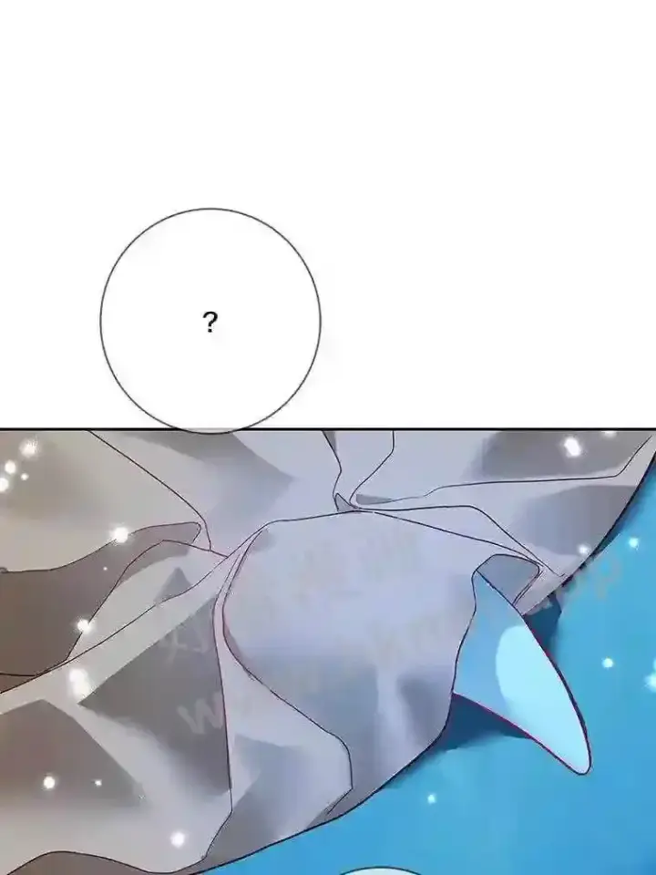 漫画《龙套大公子妃的花路人生》18.龙的主人第117张图
