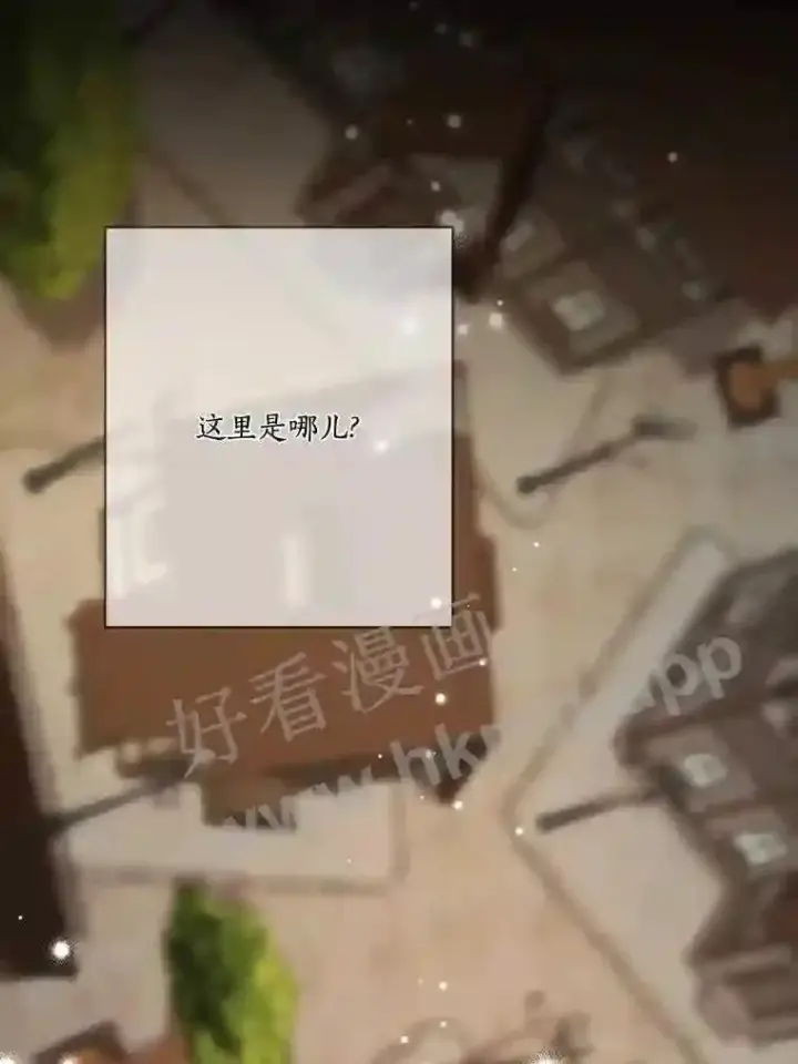 漫画《龙套大公子妃的花路人生》18.龙的主人第44张图