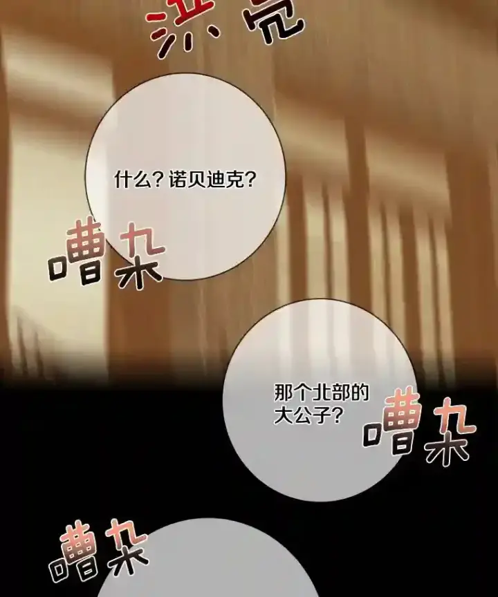 漫画《龙套大公子妃的花路人生》21.宠妻日常第55张图