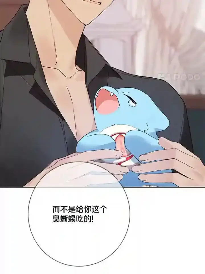 漫画《龙套大公子妃的花路人生》21.宠妻日常第8张图