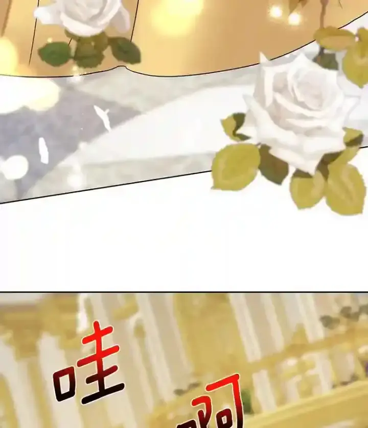 漫画《龙套大公子妃的花路人生》23.宴会第一天第76张图