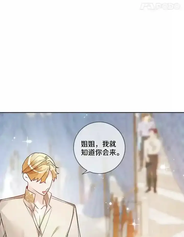 漫画《龙套大公子妃的花路人生》27.手绢第93张图