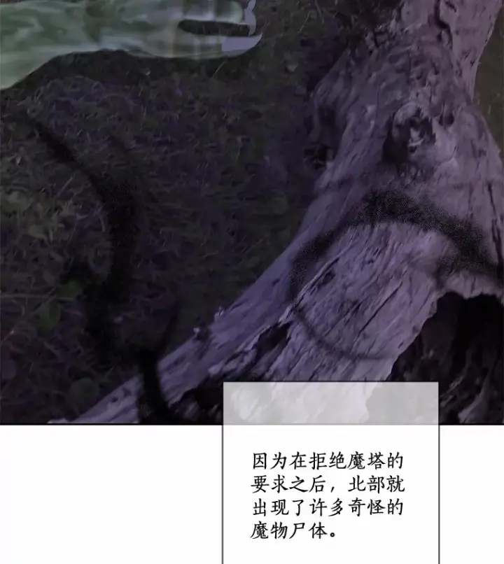 漫画《龙套大公子妃的花路人生》31.蛋糕店的偶遇第73张图
