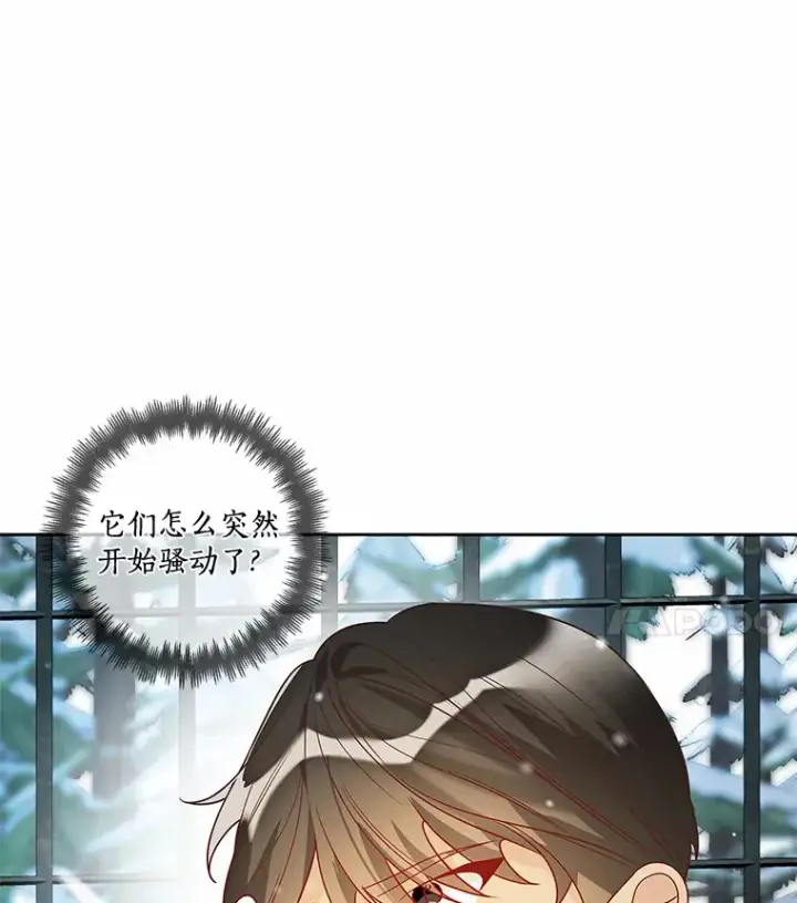 漫画《龙套大公子妃的花路人生》36.被绑架第111张图