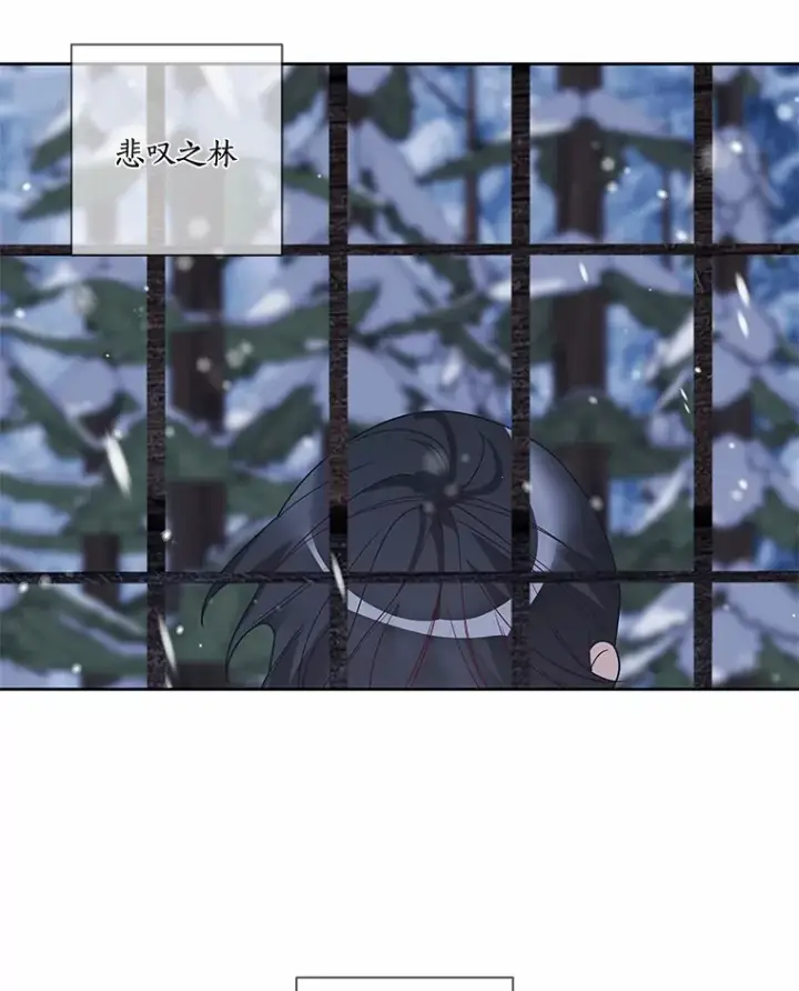 漫画《龙套大公子妃的花路人生》36.被绑架第53张图