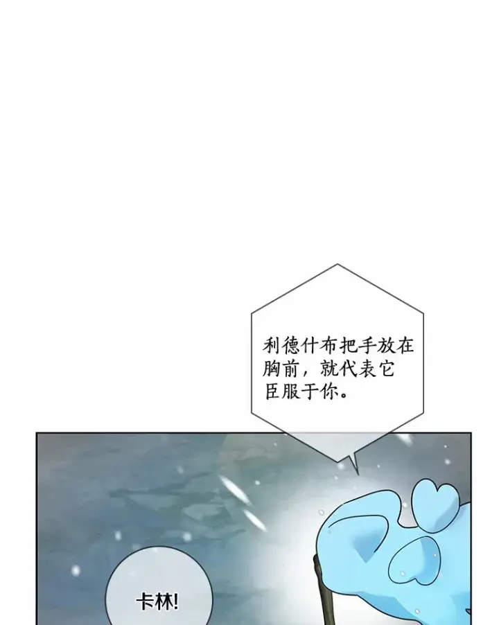 漫画《龙套大公子妃的花路人生》37.魔物之王第30张图