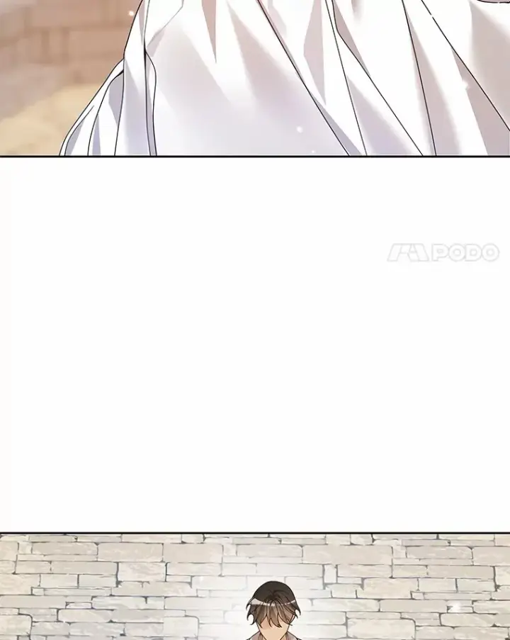 漫画《龙套大公子妃的花路人生》41.占卜第18张图