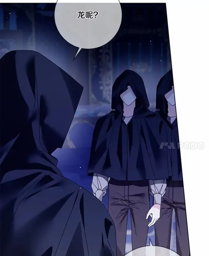 漫画《龙套大公子妃的花路人生》42.绑架第11张图