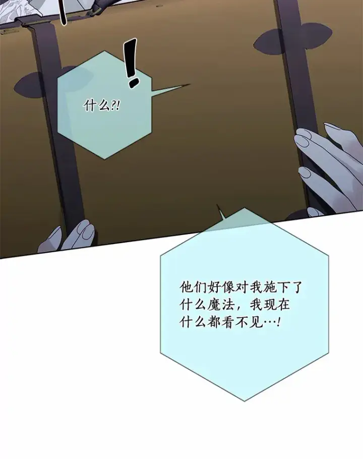 漫画《龙套大公子妃的花路人生》42.绑架第26张图