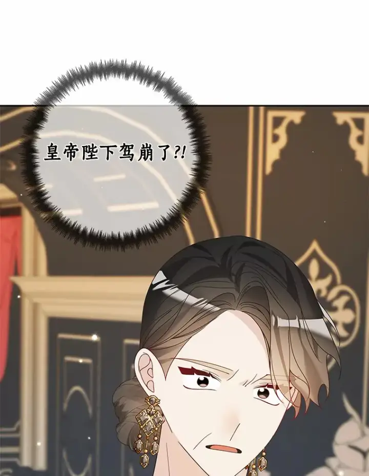 漫画《龙套大公子妃的花路人生》43.皇帝驾崩第101张图