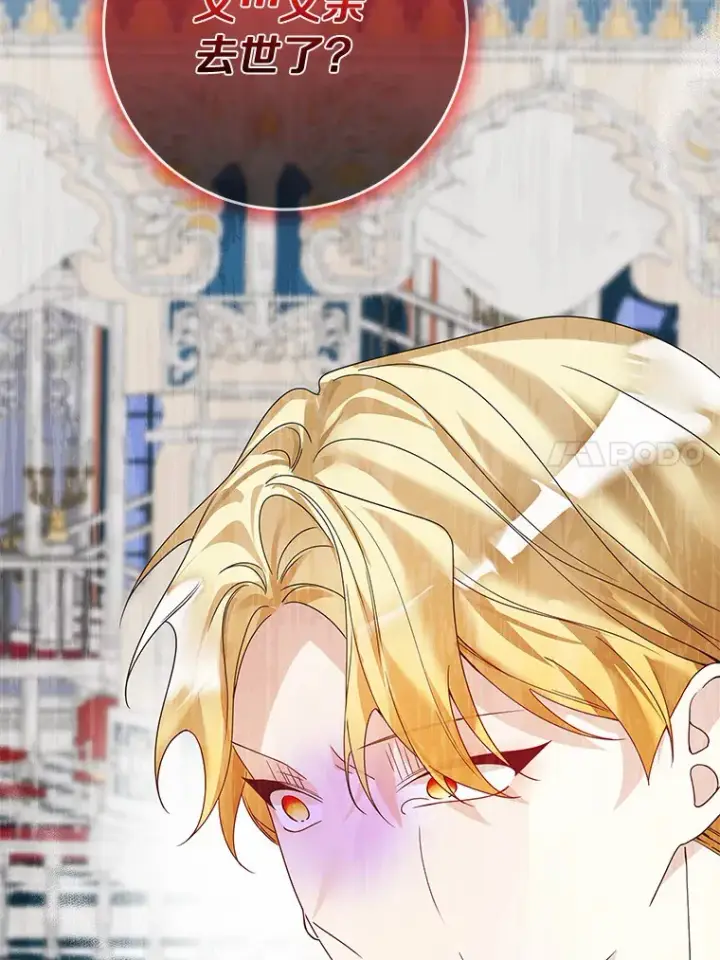 漫画《龙套大公子妃的花路人生》43.皇帝驾崩第110张图