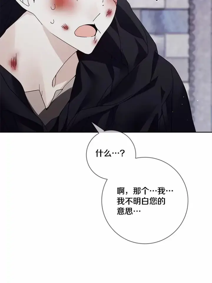 漫画《龙套大公子妃的花路人生》43.皇帝驾崩第12张图