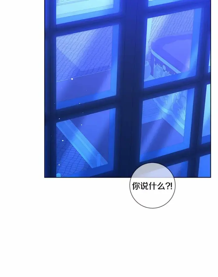 漫画《龙套大公子妃的花路人生》43.皇帝驾崩第26张图