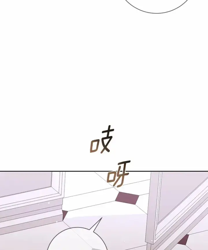 漫画《龙套大公子妃的花路人生》43.皇帝驾崩第29张图