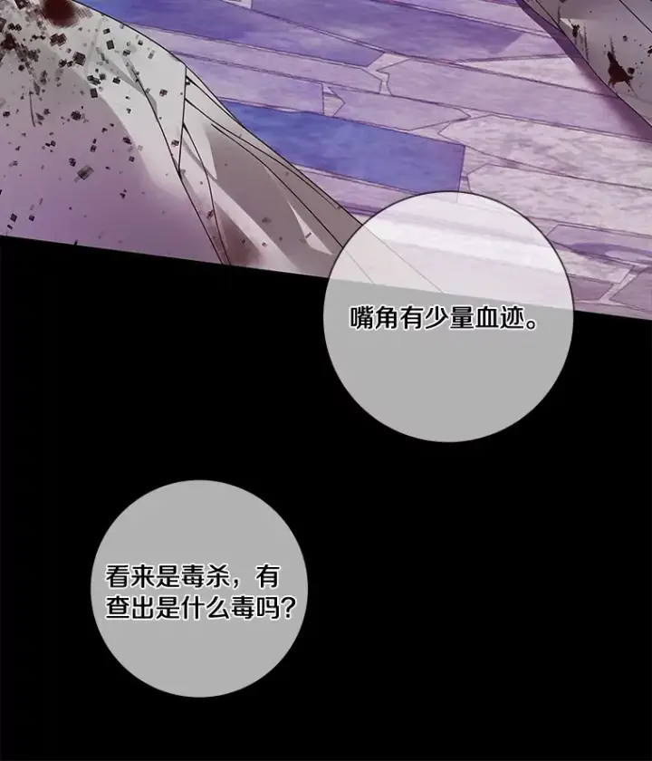 漫画《龙套大公子妃的花路人生》45.魔力石第111张图