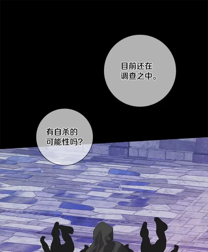 漫画《龙套大公子妃的花路人生》45.魔力石第112张图