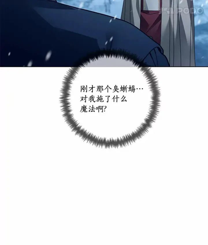 漫画《龙套大公子妃的花路人生》45.魔力石第29张图