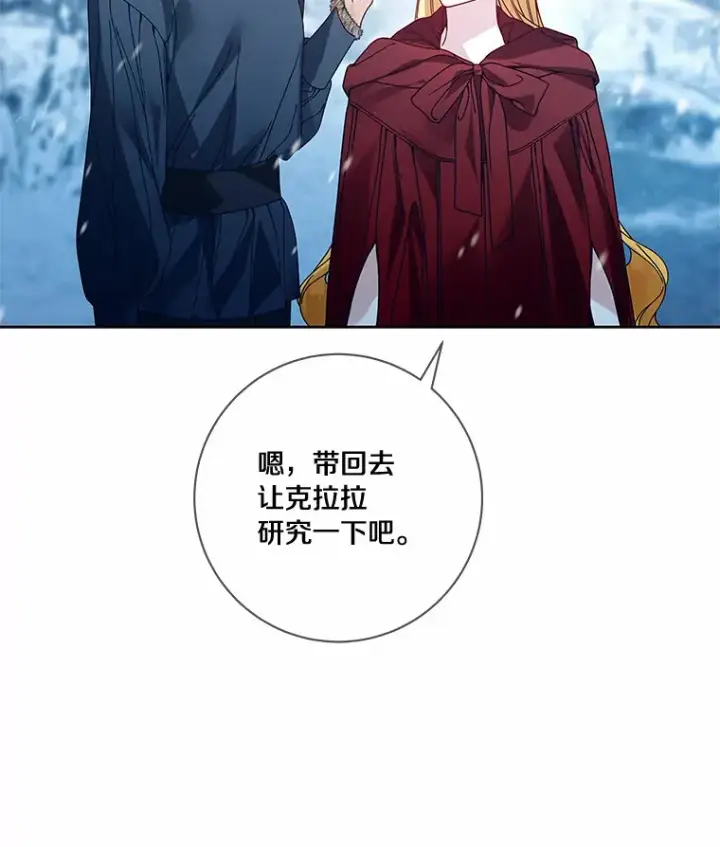 漫画《龙套大公子妃的花路人生》45.魔力石第31张图