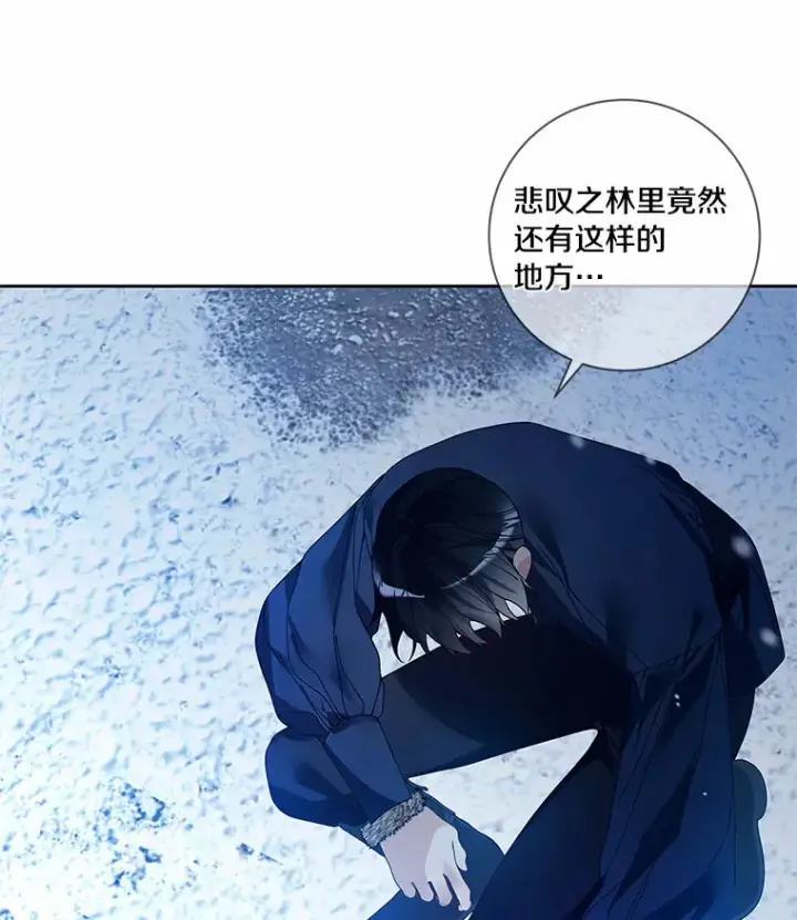 漫画《龙套大公子妃的花路人生》45.魔力石第7张图