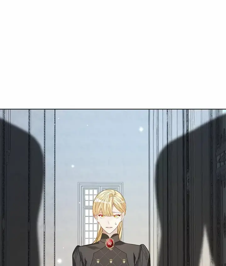 漫画《龙套大公子妃的花路人生》47.绯闻第46张图