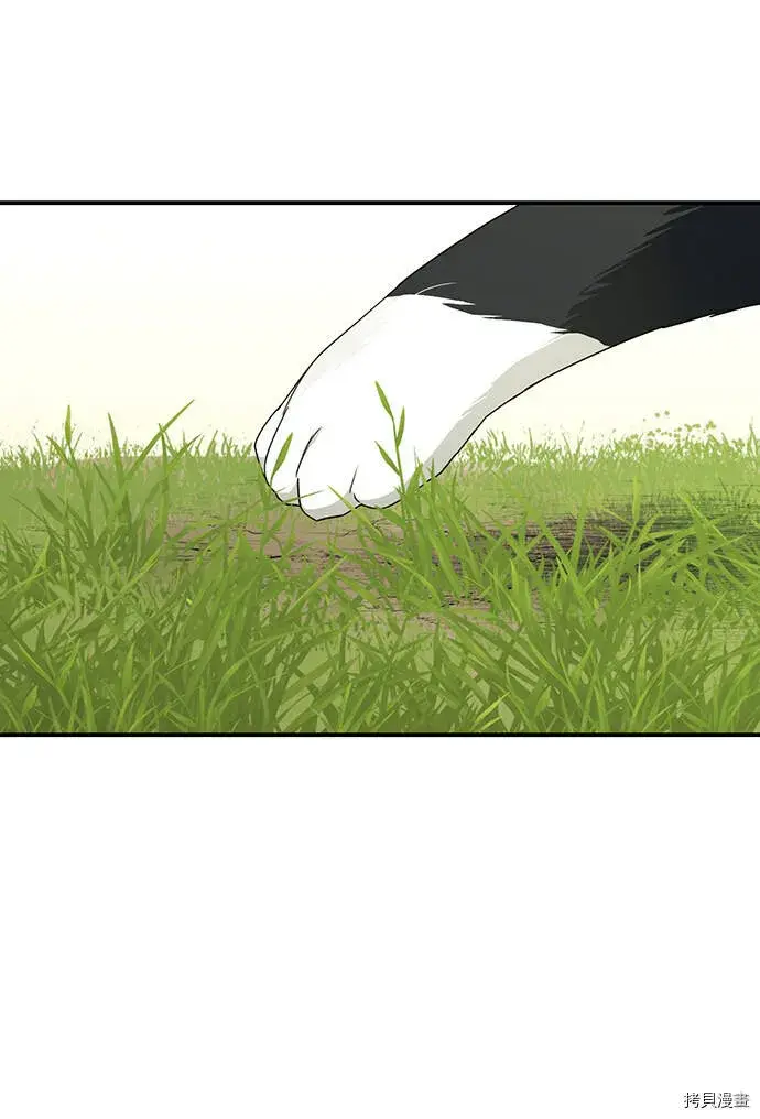 漫画《落日夕阳，冰冷目光》第39话第32张图