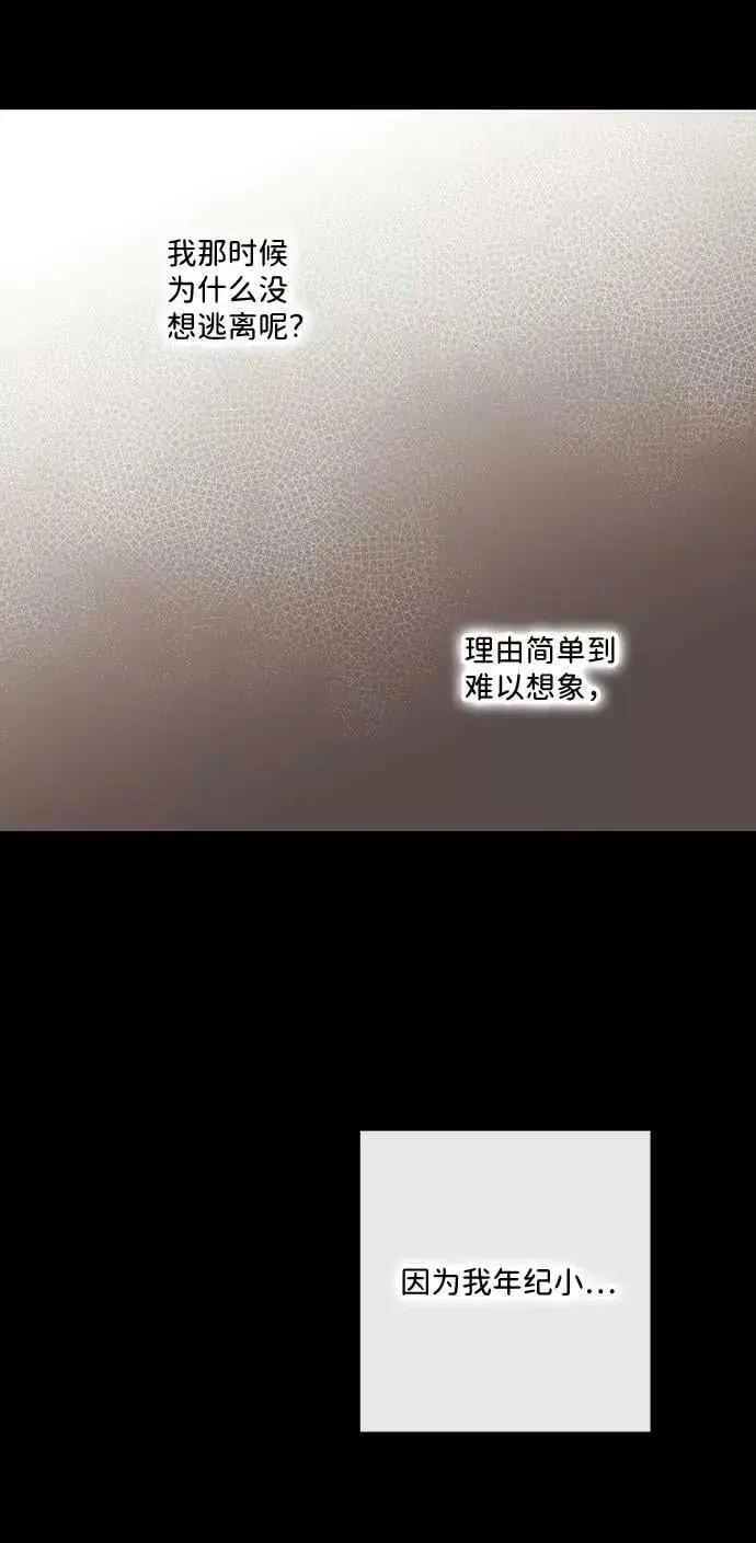 漫画《落日夕阳，冰冷目光》[第84话] 太阳骑士（1）第48张图