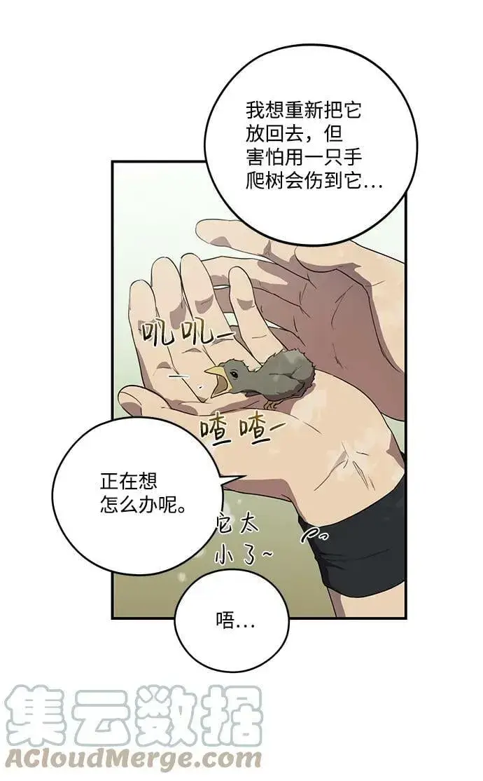 漫画《落日夕阳，冰冷目光》[第114话] 结婚吗？！（1）第13张图
