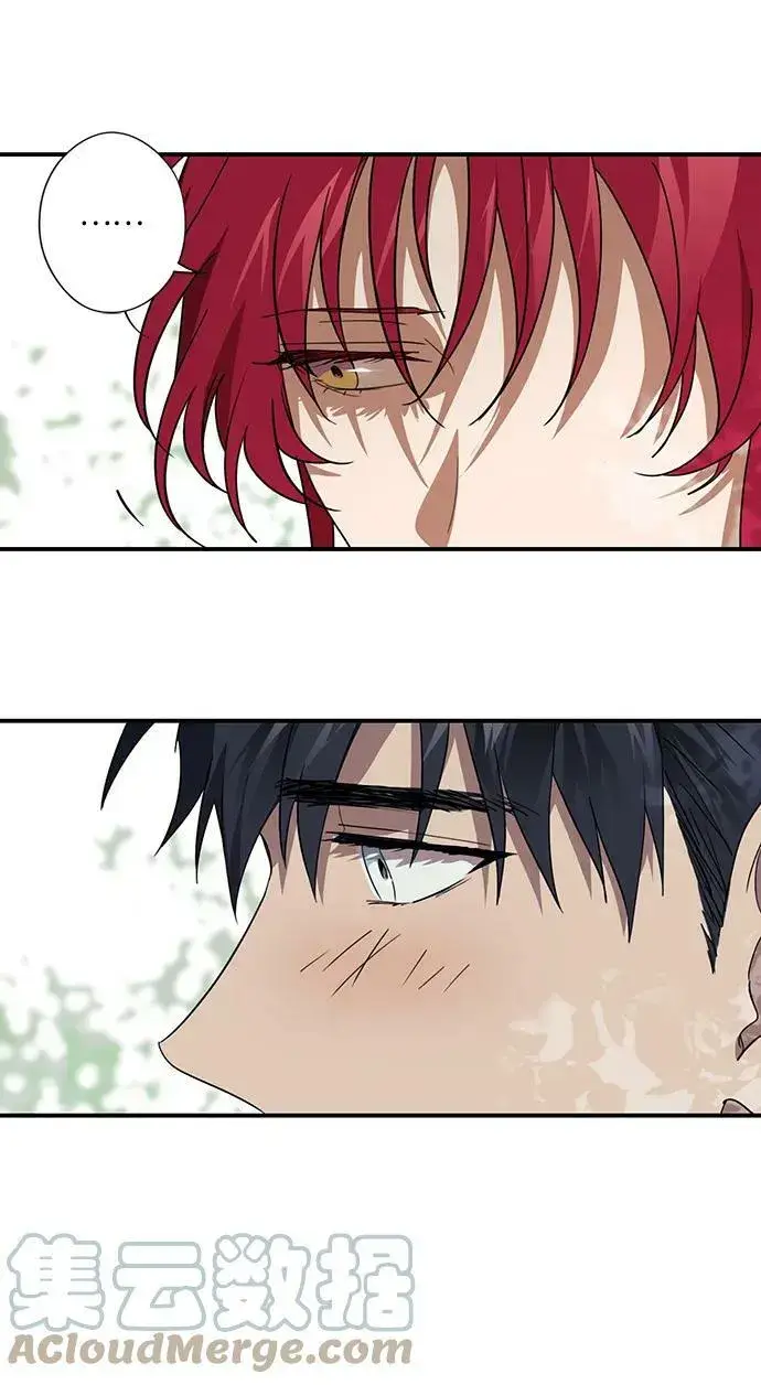漫画《落日夕阳，冰冷目光》[第117话] 结婚吗？！（4）第13张图