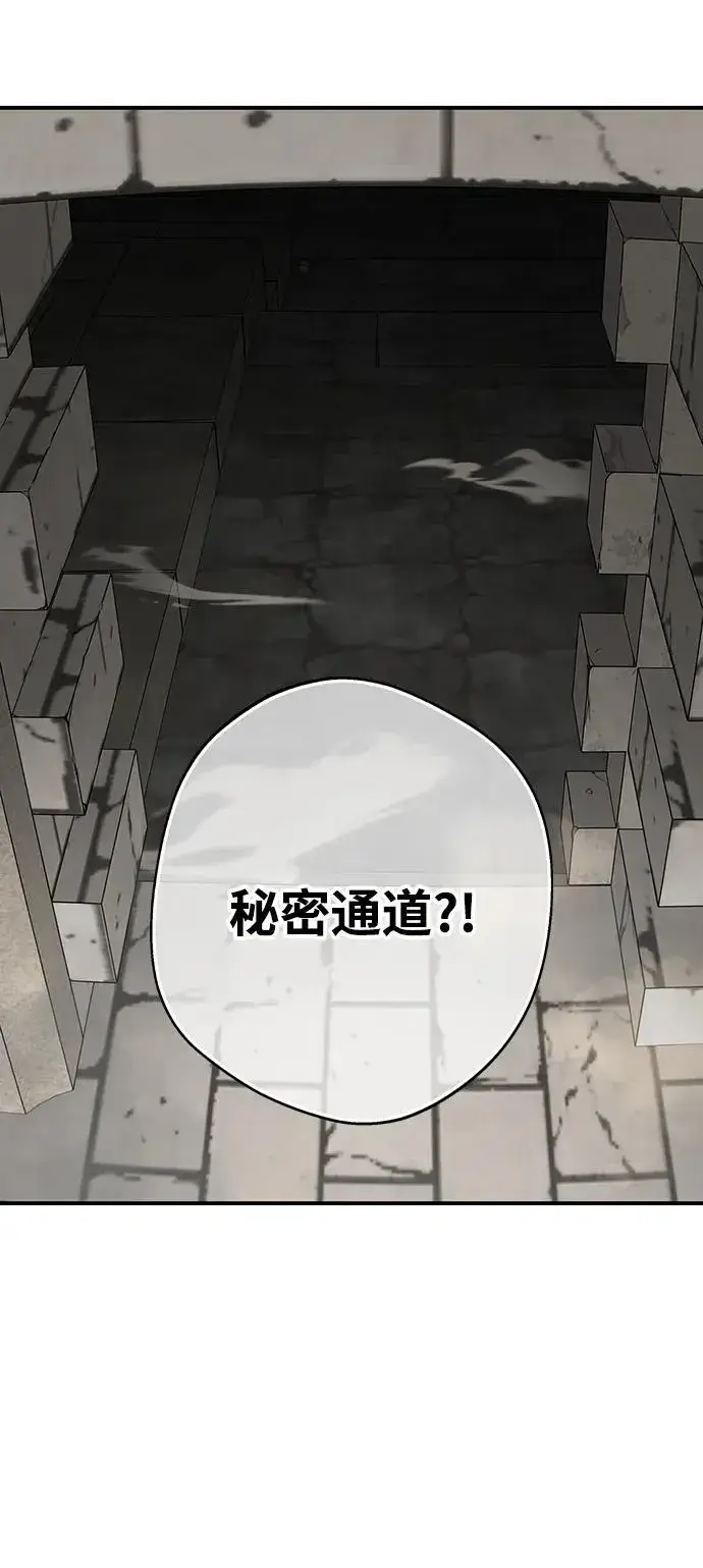 漫画《落日夕阳，冰冷目光》[第2季 25话] 摇篮的约定（1）第48张图