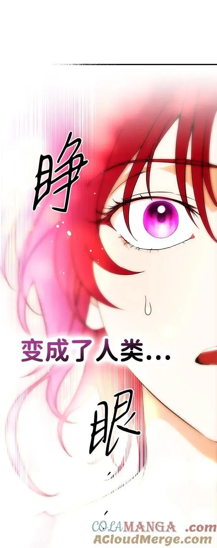 漫画《落日夕阳，冰冷目光》[第2季 60话] 审判魔女（4）第85张图