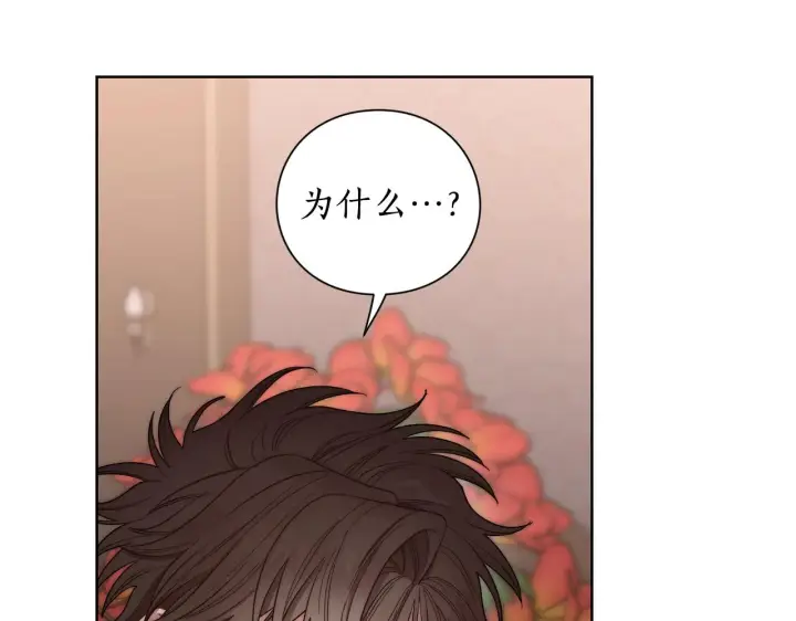 漫画《露西亚-攻略公爵计划》第103话 因为他像你第17张图