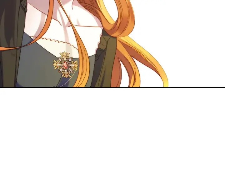 漫画《露西亚-攻略公爵计划》第105 怎么可能不插手第160张图