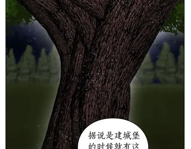 漫画《露西亚-攻略公爵计划》第36话 不可以吗？第66张图