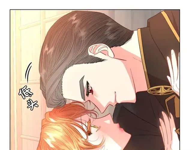 漫画《露西亚-攻略公爵计划》第44话 花的含义第19张图