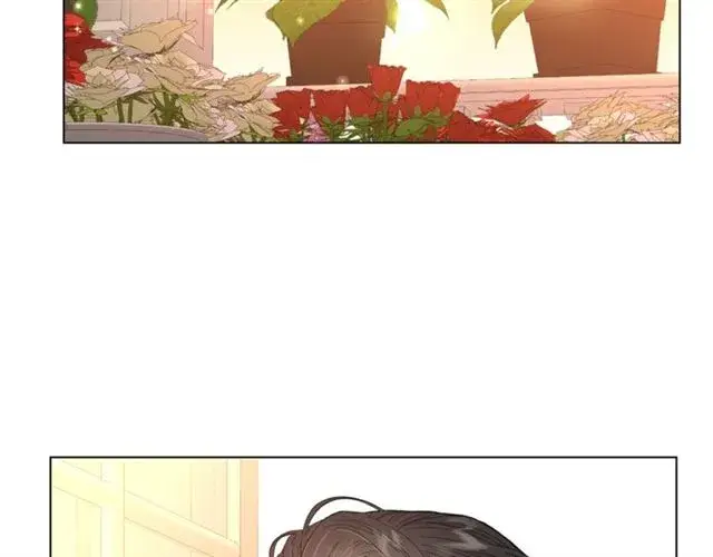 漫画《露西亚-攻略公爵计划》第44话 花的含义第9张图