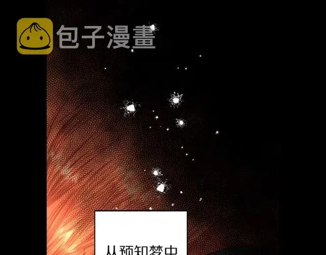 漫画《露西亚-攻略公爵计划》第48话 公爵大人的苦恼第15张图