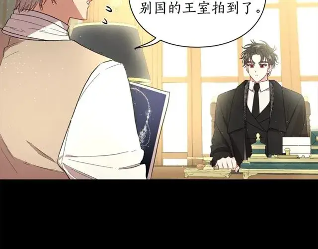 漫画《露西亚-攻略公爵计划》第51话 盒子里的项链第21张图
