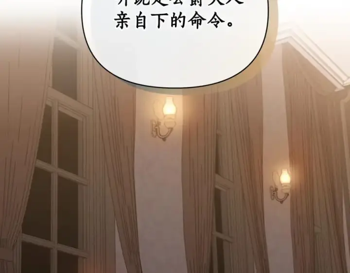漫画《露西亚-攻略公爵计划》第119话 请求见面第119张图