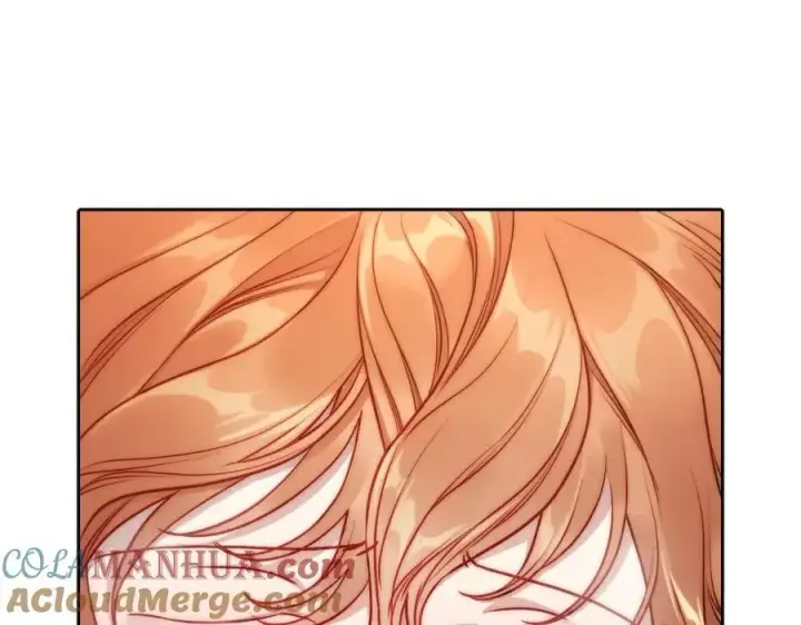 漫画《露西亚-攻略公爵计划》第119话 请求见面第141张图