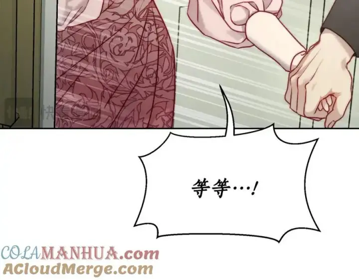 漫画《露西亚-攻略公爵计划》第121话 他回来啦第133张图