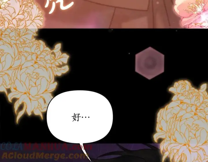 漫画《露西亚-攻略公爵计划》第121话 他回来啦第33张图