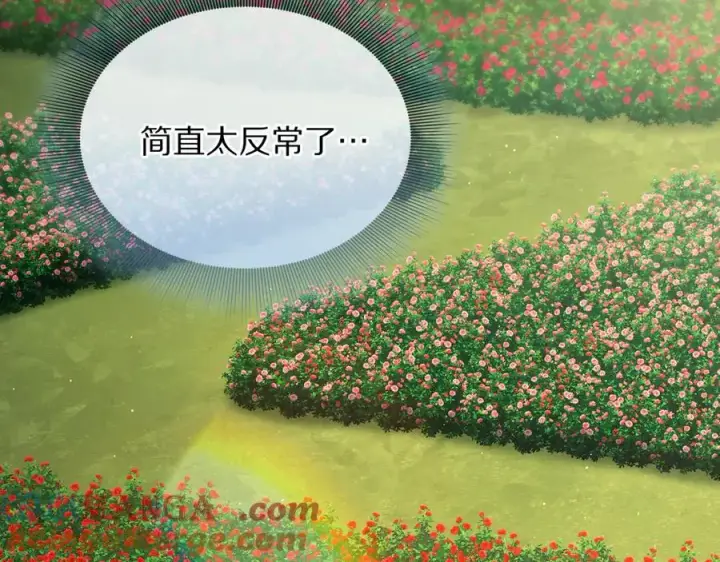 漫画《露西亚-攻略公爵计划》第145话 一见钟情第201张图