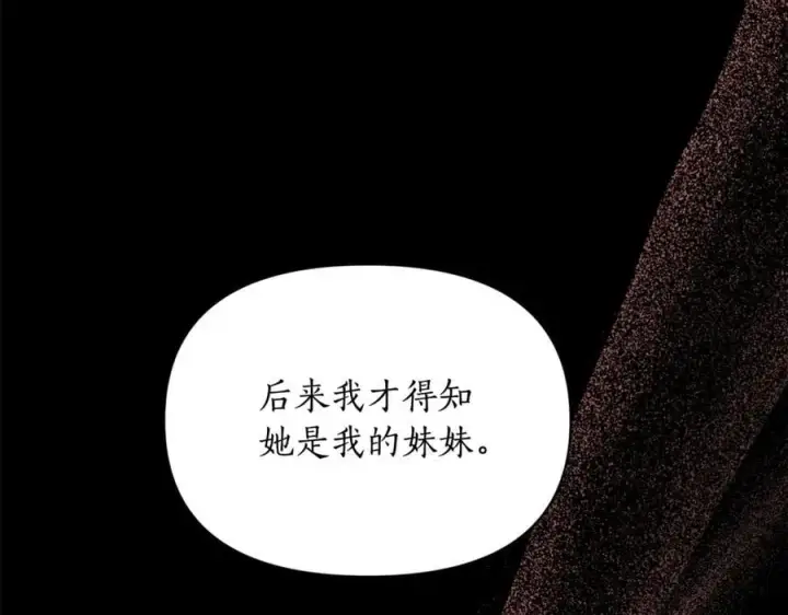 漫画《露西亚-攻略公爵计划》第165话 姐姐第138张图