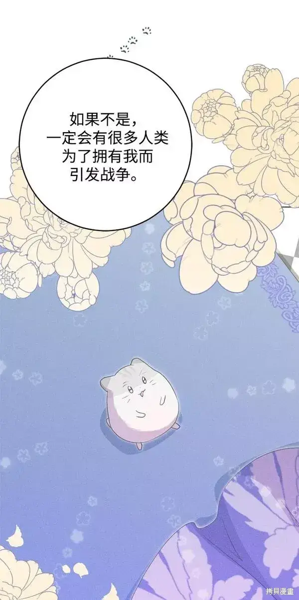 漫画《我的夫君每晚都不同》第11话第33张图