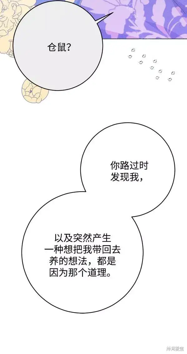 漫画《我的夫君每晚都不同》第11话第34张图