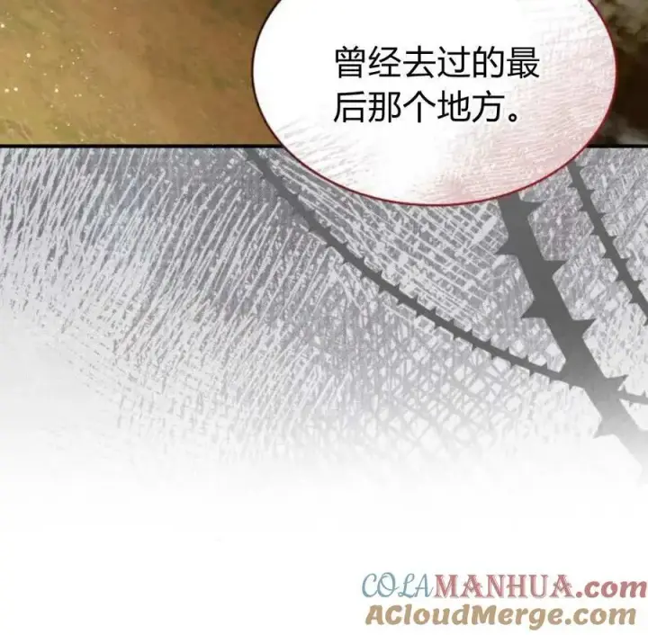 漫画《梅尔文留给他们的东西》第66话第101张图