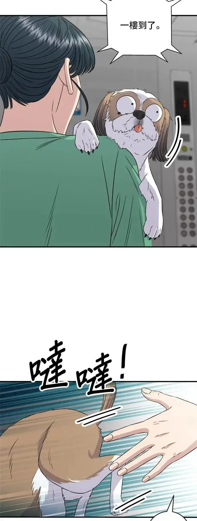 漫画《米虫的一日三餐》第204话 干炸酱面第17张图