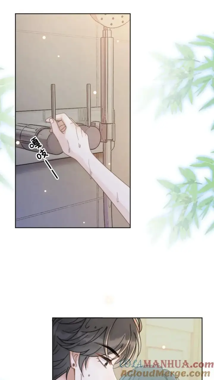 漫画《明撩！暗诱！和顶流影帝恋综撒糖》第36话 花孔雀洗澡澡第11张图