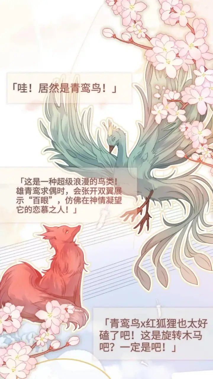 漫画《明撩！暗诱！和顶流影帝恋综撒糖》第123话 青鸾鸟x红狐狸第4张图
